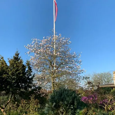 Skovgaarden *